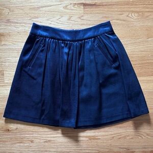 Banana Republic Blue Skater Mini Skirt